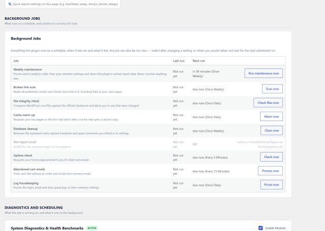 Background jobs: what each job did last, when it runs next, and Run now